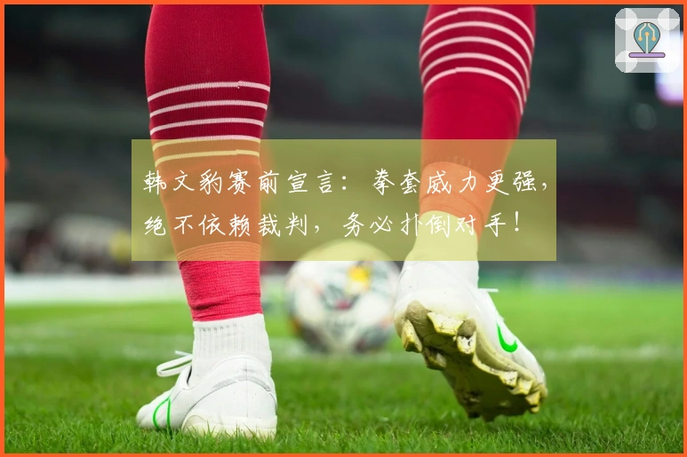 韩文豹赛前宣言：拳套威力更强，绝不依赖裁判，务必扑倒对手！