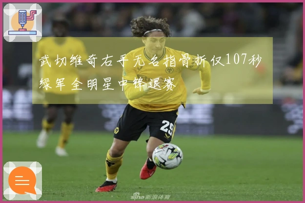 武切维奇右手无名指骨折仅107秒 绿军全明星中锋退赛